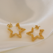  Aretes Stella